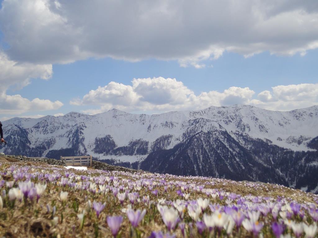 #deinplatzisthier im Südtiroler Bergfrühling