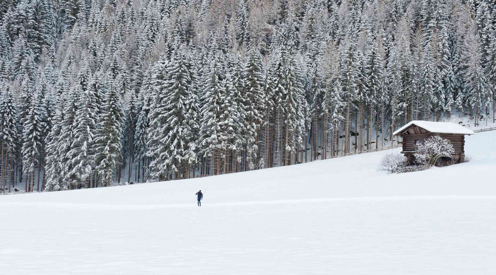 Langlauf Dolomiti Nordic Ski Mühlwald im Ahrntal Südtirol